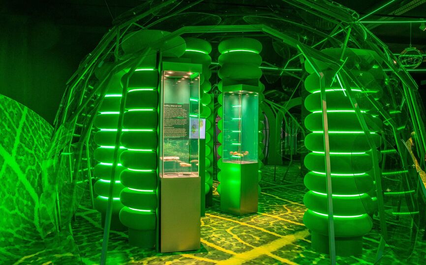 FOTOSYNTÉZA. Národní zemědělské muzeum v Praze zve na unikátní výstavu. FOTOSYNTÉZA. Národní zemědělské muzeum v Praze zve na unikátní výstavu.