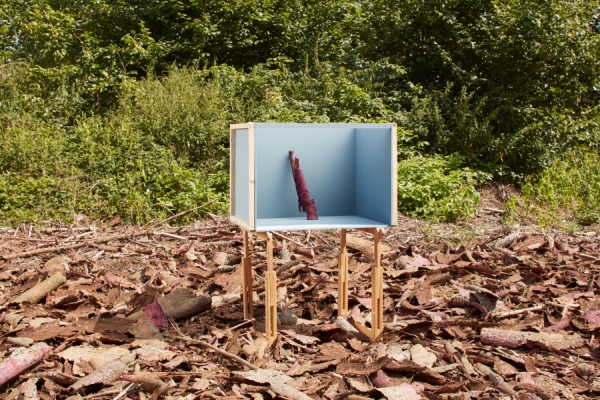 Exhibition ‘Making a Forest’, National Museum of Agriculture Prague