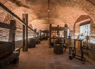 Exposition of Historic Wine Presses and Wine-Making Tools