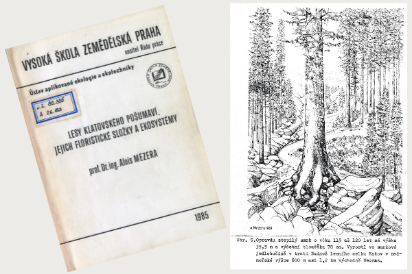 Lesy klatovského Pošumaví, jejich floristické složky a ekosystémy – Alois Mezera