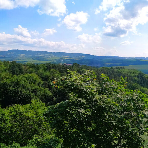 Natoč to: Rostliny, klíč k diverzitě života 