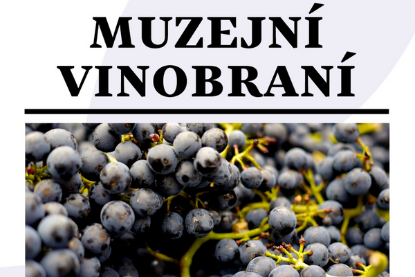 Na muzejním vinobraní 1. října mohou degustovat dospělí i děti!