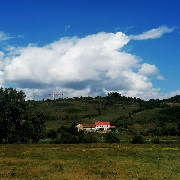 Natoč to: Rostliny, klíč k zemědělství 