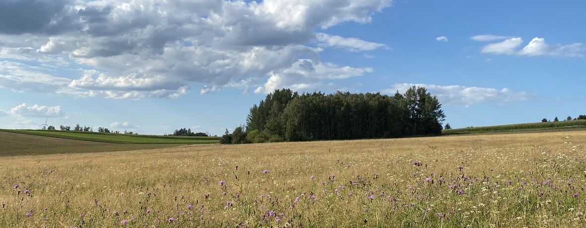 BYL VYNÁLEZ RUCHADLA VÝHROU, NEBO PROHROU PRO PŮDU? Ochrana půdy a regenerativní zemědělství jako nástroj adaptace na klimatickou změnu. Jak ovlivní klimatická změna naše zemědělství.