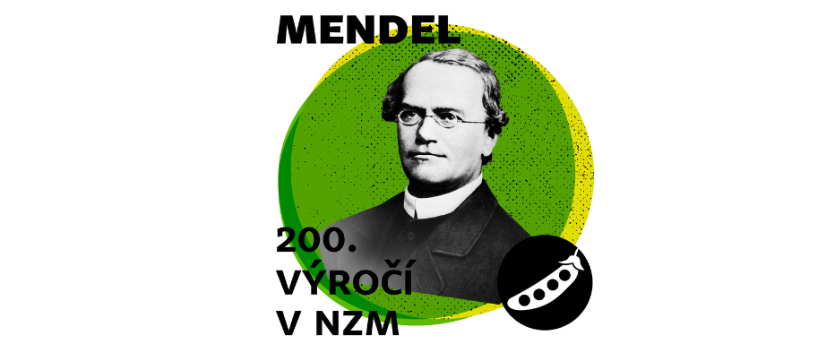 Mendel 200