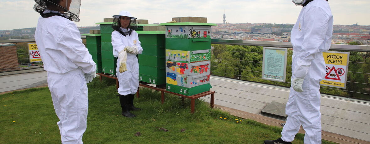 Včely na živo – WORKSHOP je součástí akce JEDU V MEDU