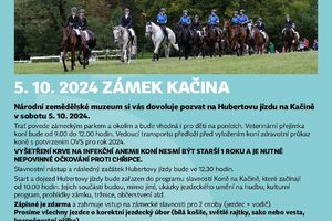 Koně na Kačině 2024