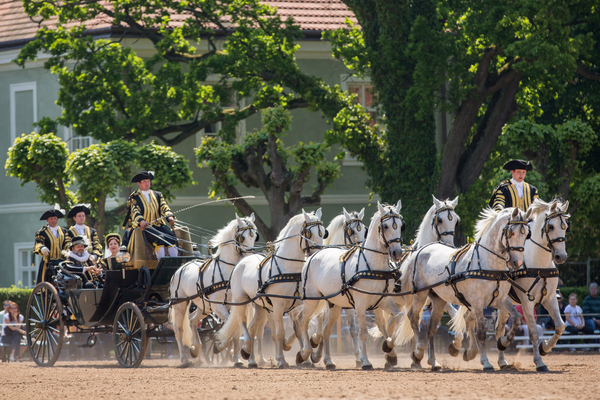 Výstava představuje světový klenot – Krajinu pro chov a výcvik ceremoniálních kočárových koní