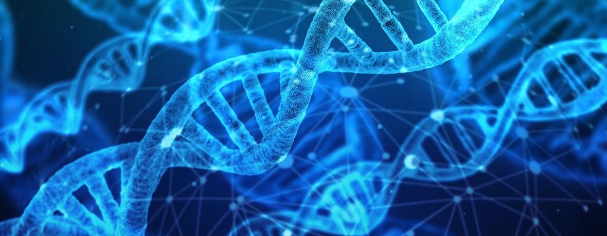 ÚŽASNÝ SVĚT MOLEKULÁRNÍ GENETIKY. Sestavte si vlastní model DNA a odhalte, jak se tvoří proteiny v našem těle.