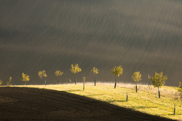 Jana Mašterová, Sad. Czech Nature Photo, kategorie České zemědělství a venkov