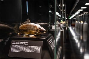 Muzeum Ostrava – slavnostní otevření 17. 9. 2020