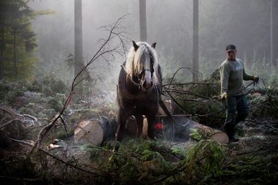 Výstava Genetické zdroje – klíč k zemědělské rozmanitosti